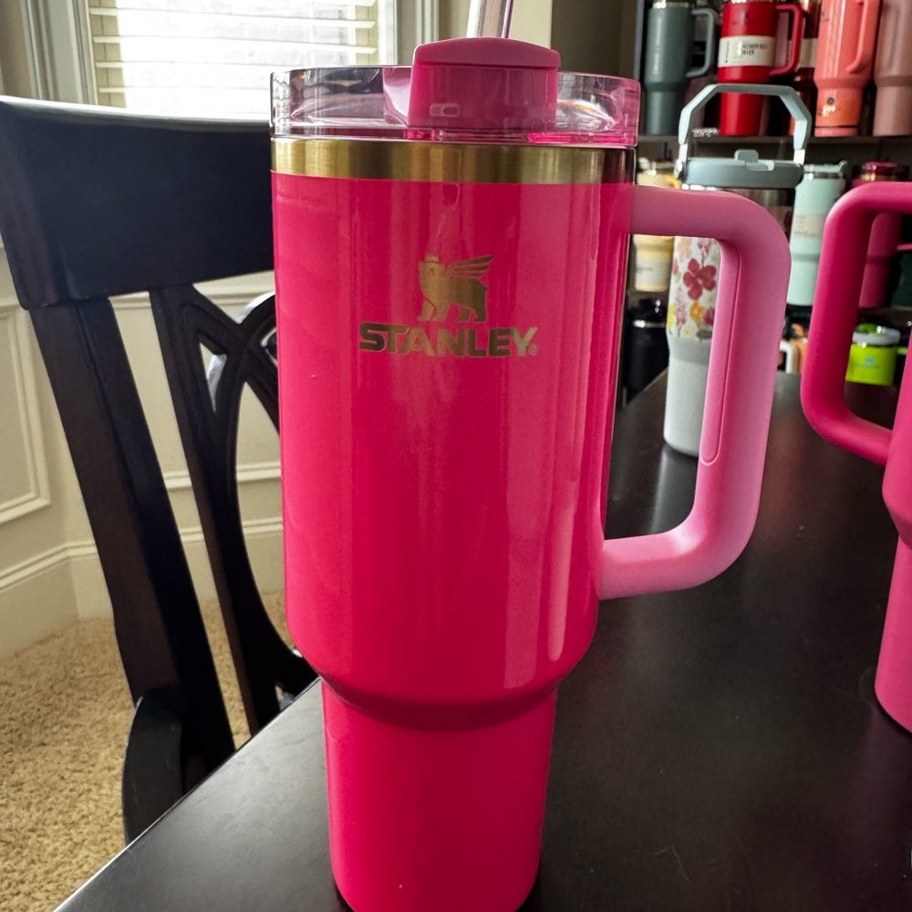 Stanley 40 oz Pink Parade quencher